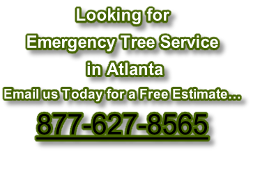 Looking for  Emergency Tree Service  in Atlanta Email us Today for a Free Estimate… 877-627-8565