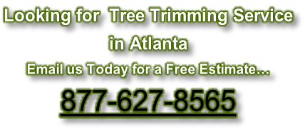 Looking for  Tree Trimming Service in Atlanta Email us Today for a Free Estimate… 877-627-8565