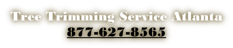 Tree Trimming Service Atlanta  877-627-8565